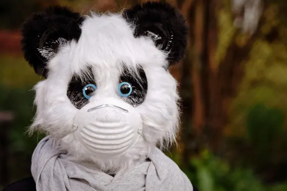 SpinShake Casino Assistance